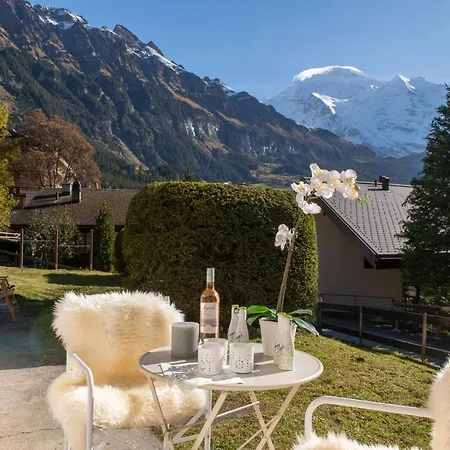 Chalet Galliweidli Appartamento Wengen